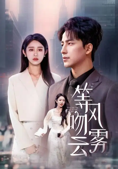 南来北往 剧情年代剧海报